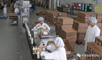 投資1000萬(wàn)美元的化妝品加工廠在安開(kāi)業(yè)，引領(lǐng)本土美妝產(chǎn)業(yè)新格局